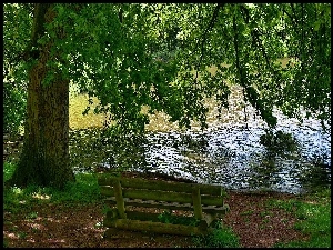 Park, Ławka, Rzeka, Drzewo