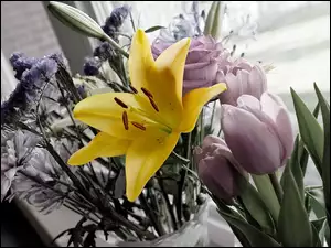Tulipany, Bukiet, Kwiatów