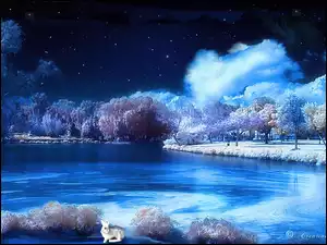 Jezioro, Noc, Drzewa, Zima