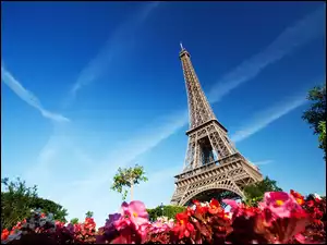 Francja, Eiffla, Paryż, Wieża