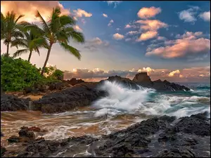 Palma, Hawaje, Morze, Maui, Skałki