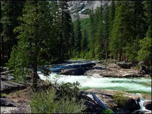 Las, Kalifornia, Rzeka, Park Narodowy Yosemite