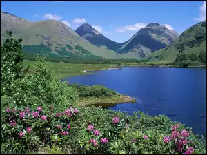 Różanecznik, Jezioro, Góry