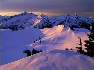 Góry, Drzewa, Pokryte, Śniegiem