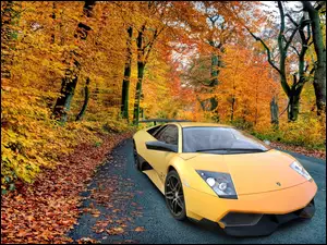 Jesień, Lamborghini Murcielago, Las
