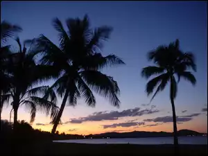 Zachód Słońca, Australia, Palmy, Jezioro