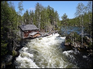 Brzegi, Oulanka, Rzeka, Finlandia, Zalesione, Domek