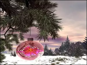 Bańka, Śnieg, Drzewa
