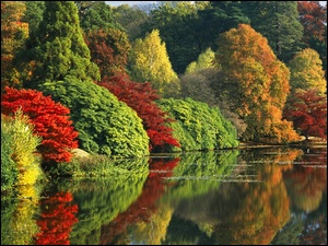 Kolorowe, Krzewy, Jesień, Odbicie, Rzeka, Drzewa