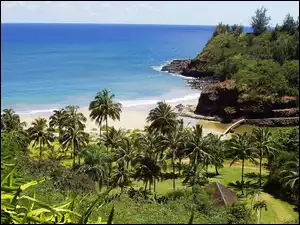 Hawaje, Morze, Palmy, Ogród, Kauai