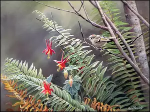 Ptak, Paproć, Kwiat