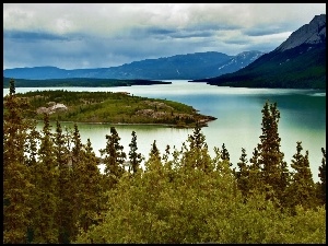 Kanada, Rzeka, Góry, Drzewa, Yukon