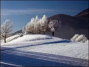 Góry, Zima, Pola, Drzewa