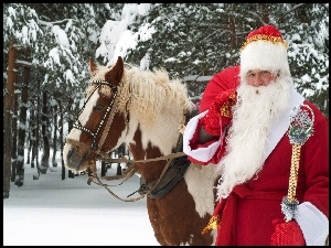 Mikołaj, Koń, Las, Śnieg