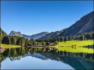 Austria, Góry, Lasy, Jezioro, Tyrol