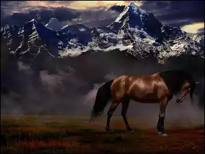 Łąka, Koń, Góry