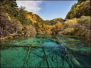 Jezioro, Chiny, Lasy, Jiuzhaigou