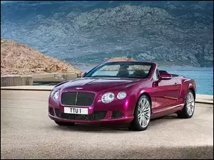 GT, Convertible, Bentley, 2013, Continental, Speed