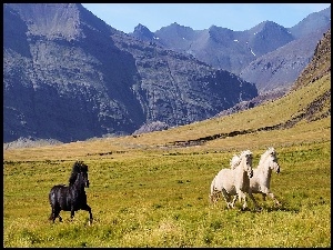 Konie, Góry