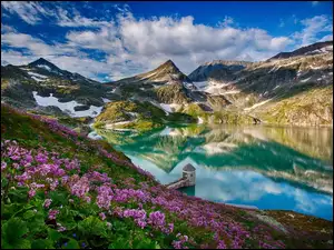 Góry, Kwiaty, Jezioro, Różowe