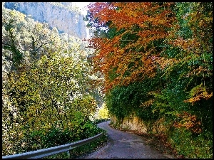 Droga, Jesień, Góry, Hiszpania