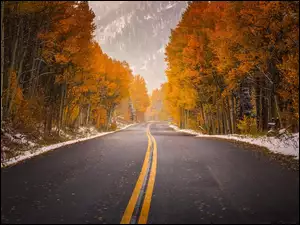 Droga, Jesień, Lasy, Góry