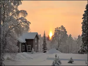 Zima, Dom, Zachód, Drzewa, Słońca