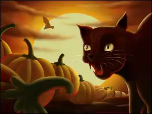 Halloween, Kot, Dynie