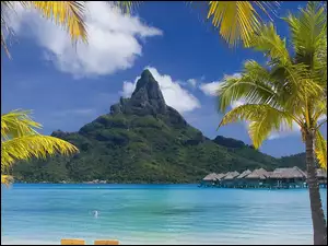 Góra, Bora Bora, Morze, Palmy