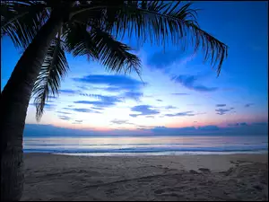 Ocean, Słońca, Plaża, Karaiby, Palma, Wschód