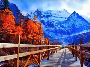 Jesień, Śnieg, Most, Drewniany, Drzewa, Góry, Rzeka