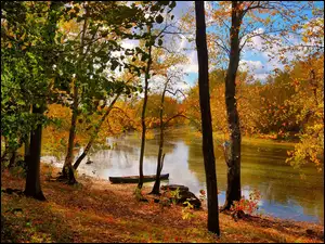 Jesień, Łódka, Drzewa, Rzeka