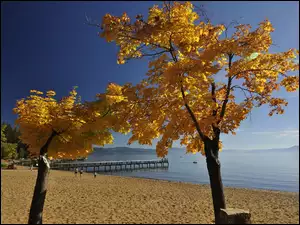 Jesień, Plaża, Drzewa, Molo, Morze