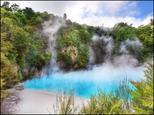 Nowa Zelandia, Para, Waimangu Volcanic Valley, Jezioro
