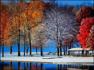 Drzewa, Jezioro, Park, Śnieg