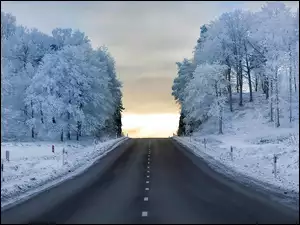 Drzewa, Niebo, Śnieg, Droga