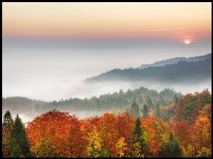 Mgła, Słońca, Jesień, Drzewa, Góry, Zachód