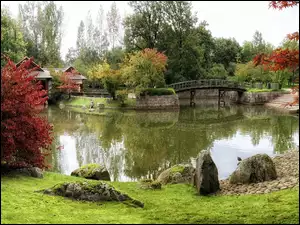 Mostek, Drzewa, Park, Jesień, Rzeczka, Kolorowe