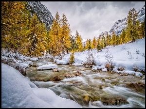Zima, Potok, Góry, Kamienie, Drzewa