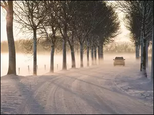 Samochód, Zima, Droga, Śnieg, Drzewa