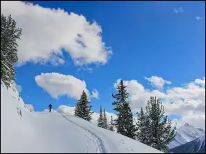 Zima, Góry, Chmury, Narciarz, Drzewa