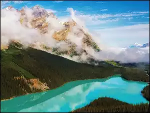 Jezioro, Mgła, Góry, Lasy
