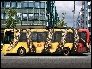 Autobus, Wąż, Ulica, Drzewa