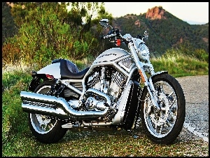 Harley-Davidson, V-Rod