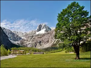 Alpengasthof, Łąka, Góry, Tyrol, Gramai, Lasy, Hotel