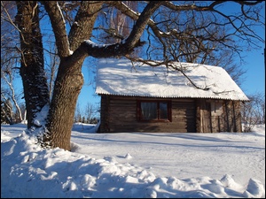 Dom, Zima, Drzewo, Śnieg, Stary