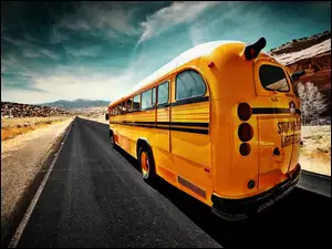 Szosa, Żółty, Autobus