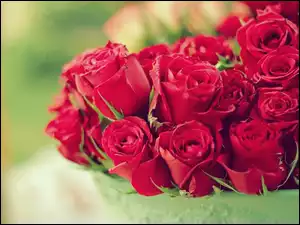 Róż, Kwiaty, Bukiet