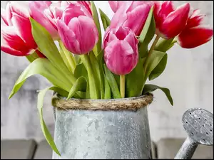Kwiaty, Konefka, Bukiet, Tulipany