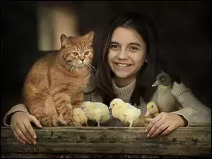 Kaczuszka, Dziewczyna, Kot, Rudy, Kurczaki